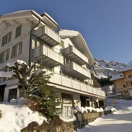 Apartment Hirschen