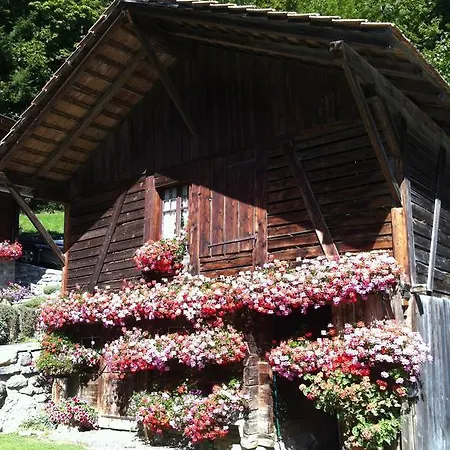 Apartment Hirschen