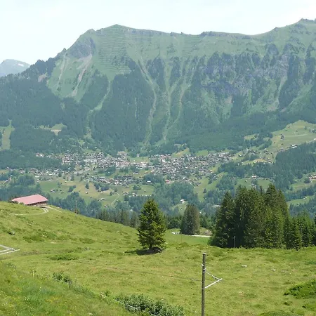 Hirschen