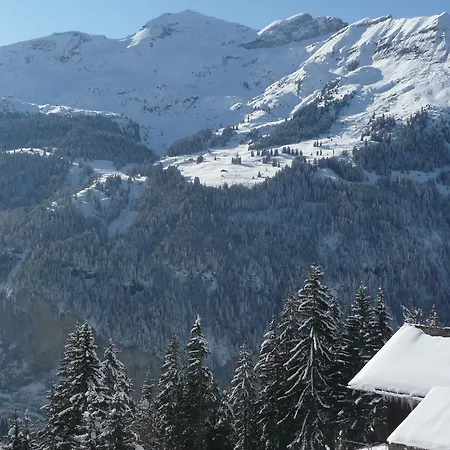Apartment Hirschen Wengen