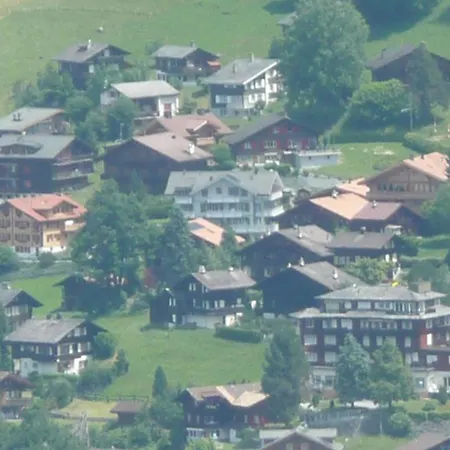 Hirschen Apartment Wengen