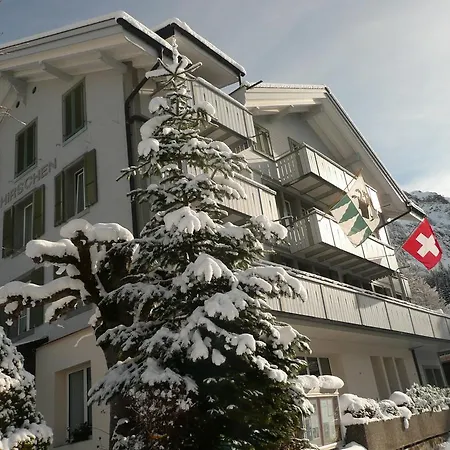 Hirschen Wengen
