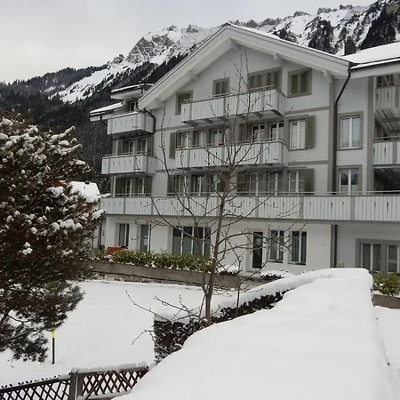 Hirschen Wengen